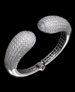 Ring1